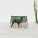 Suche nach rottweiler karten Tiere