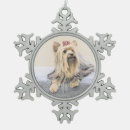 Suche nach yorkshire terrier ornamente Welpe