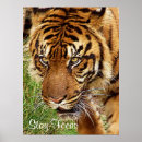 Suche nach fokus poster Motivierend