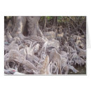 Suche nach mangroven postkarten Wasser