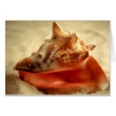 Suche nach tritonshorn muschel postkarten Ozean