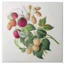 Suche nach vintage erdbeeren fliesen Für sie