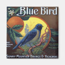 Suche nach vintage vögel magnete Blau