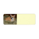 Suche nach stillstehen Hund
