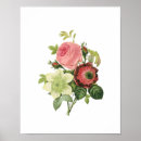 Suche nach redoute poster Botanisch