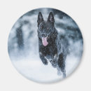 Suche nach schwarze schafe magnete Hunde