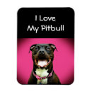 Suche nach pitbull magnete Haustier
