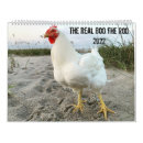 Suche nach witzig kalender Haustiere
