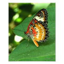 Suche nach wirbellose tiere poster Schmetterling