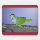 Suche nach quaken mousepads Vogel