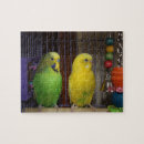 Suche nach schnabel puzzle Augen