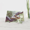 Suche nach lebensräume karten Natur