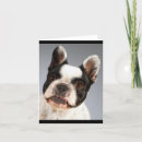 Suche nach hundekarten karten Welpe