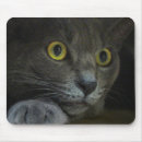 Suche nach katzenaugen mousepads Flüstern