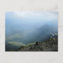 Suche nach vogel auf felsen poster Foto