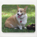 Suche nach waliser mousepads Tiere