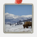 Suche nach bison ornamente Reise