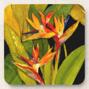 Suche nach tropische blumen untersetzer Paradies