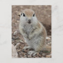 Suche nach ground poster Niedlich
