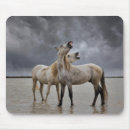 Suche nach pferd mousepads Ranch