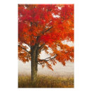 Suche nach western landschaft poster Davis