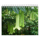 Suche nach pflanze kalender Tropisch