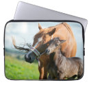 Suche nach kälte laptop schutzhüllen Pferd