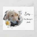 Suche nach bedauern karten Es tut mir leid