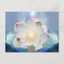 Suche nach weiße lilien postkarten Für sie