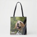 Suche nach goldenes labrador taschen Welpe