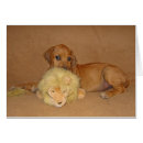 Suche nach rhodesian ridgeback postkarten Tiere