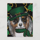 Suche nach australian shepherd postkarten Australischer schäferhund
