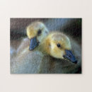 Suche nach gans puzzle See