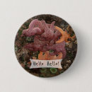 Suche nach seestern buttons Meeresleben