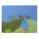 Suche nach libellen notizblock Natur