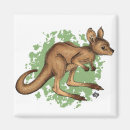 Suche nach känguru magnete Australisch