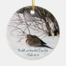 Suche nach taube ornamente Schnee