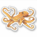 Suche nach kraken aufkleber Meereswelt