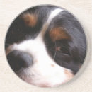 Suche nach cocker spaniel untersetzer Hund