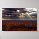 Suche nach beamer poster Regenbogen