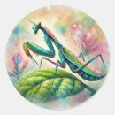 Suche nach beten sie für mich aufkleber Aquarell
