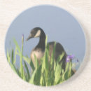 Suche nach canada untersetzer Natur