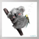 Suche nach australian wildlife poster Koala