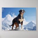 Suche nach swiss mountain poster Welpe