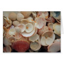 Suche nach fraser postkarten Strand