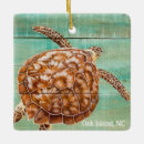 Suche nach schildkröte ornamente Marin