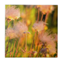 Suche nach raucher fliesen Nationalpark