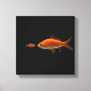 Suche nach goldfisch leinwandbilder Quadrat
