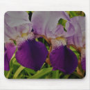 Suche nach iris blume mousepads Botanisch