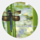Suche nach blaue libelle aufkleber Libellen